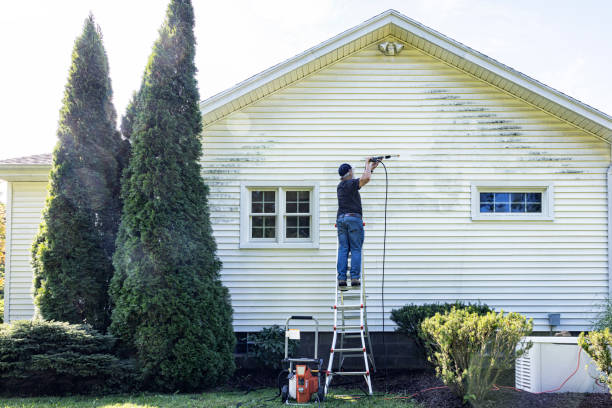 Best Soft Washing  in Lakeport, CA